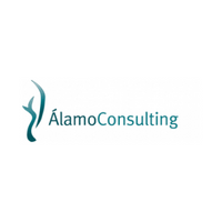 Alamo Consulting